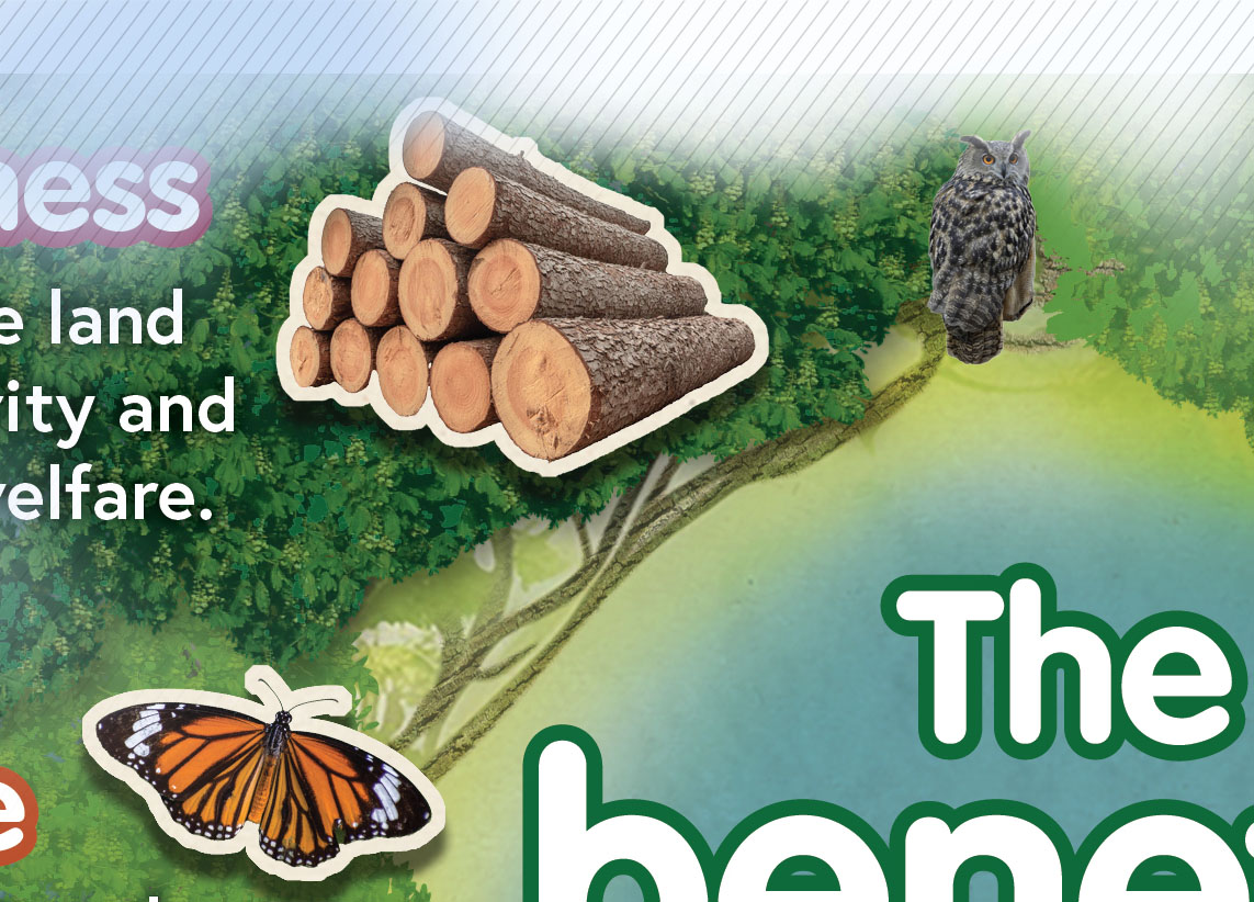 Forestry Commission 'the benefits of trees' infographic